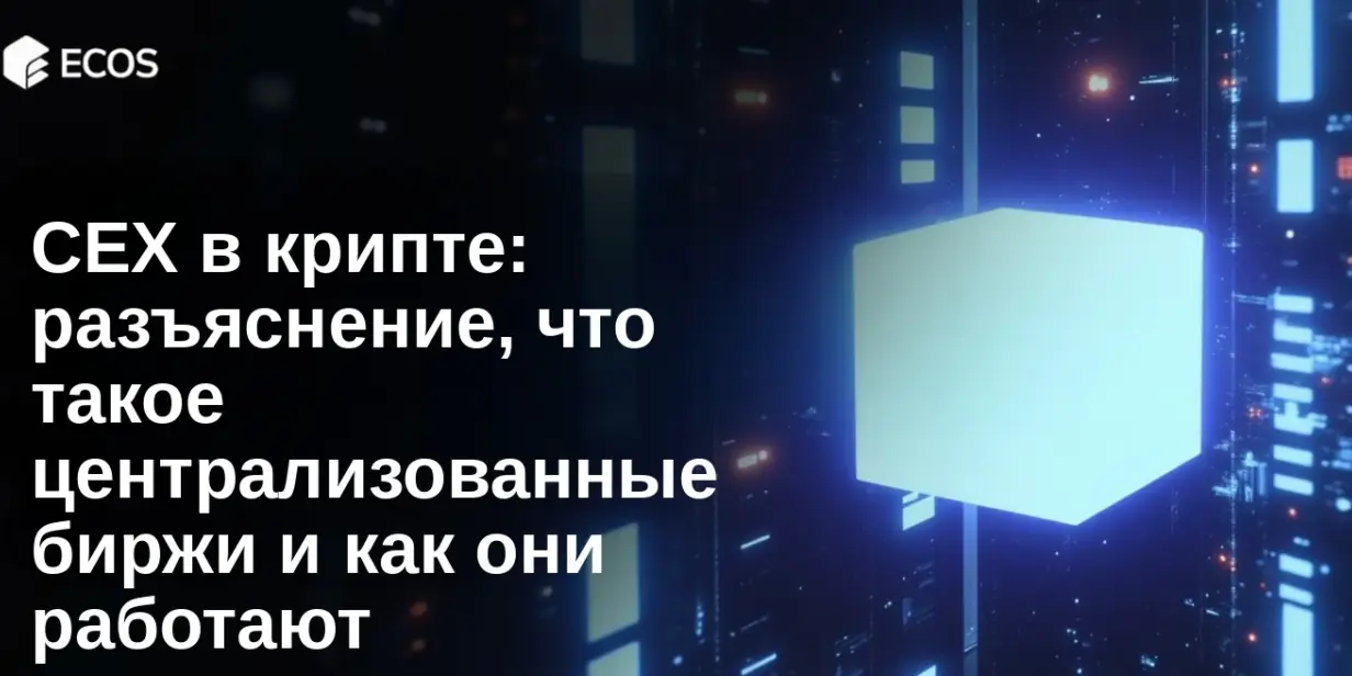 CEX в крипте: разъяснение, что такое централизованные биржи и как они работают