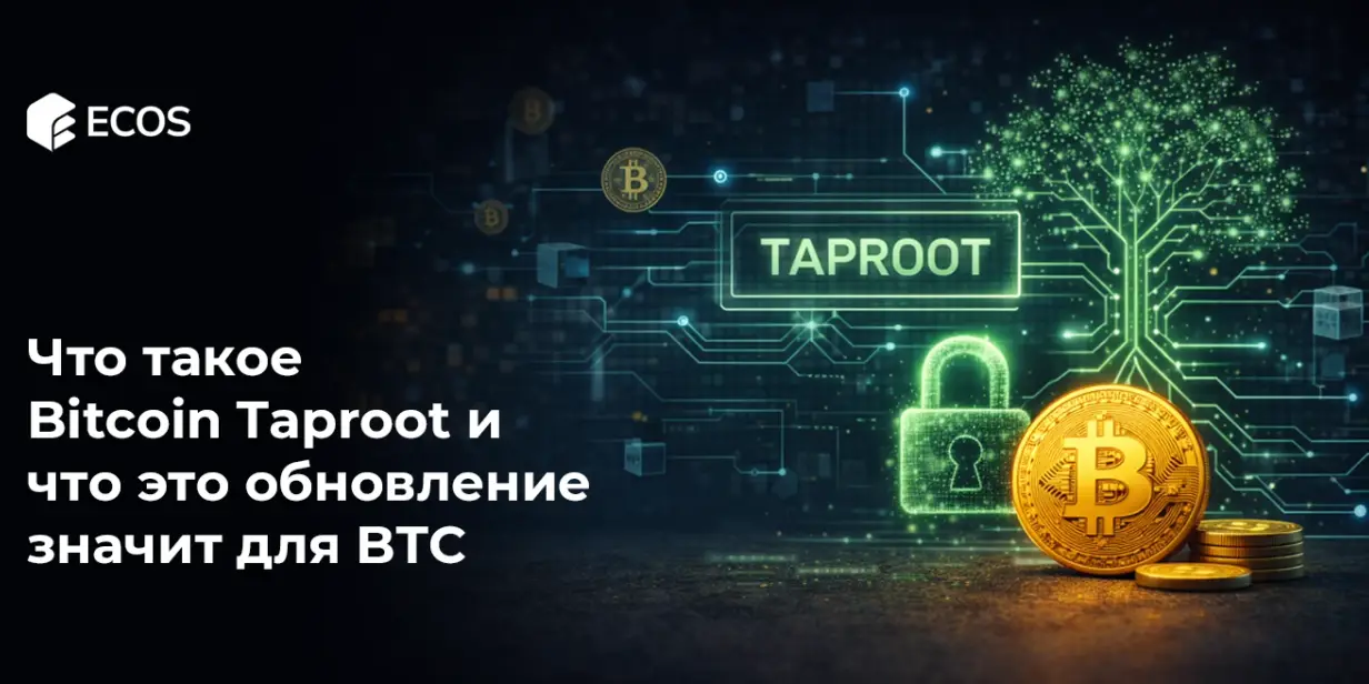 Что такое Bitcoin Taproot и что это обновление значит для BTC