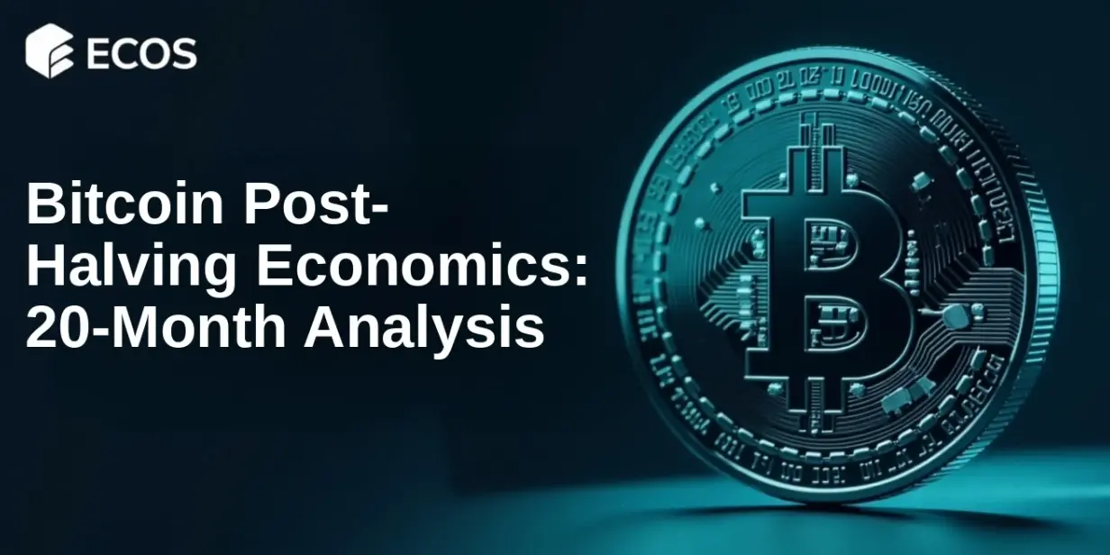Bitcoin Post-Halving Economics: 20-Month Analysis