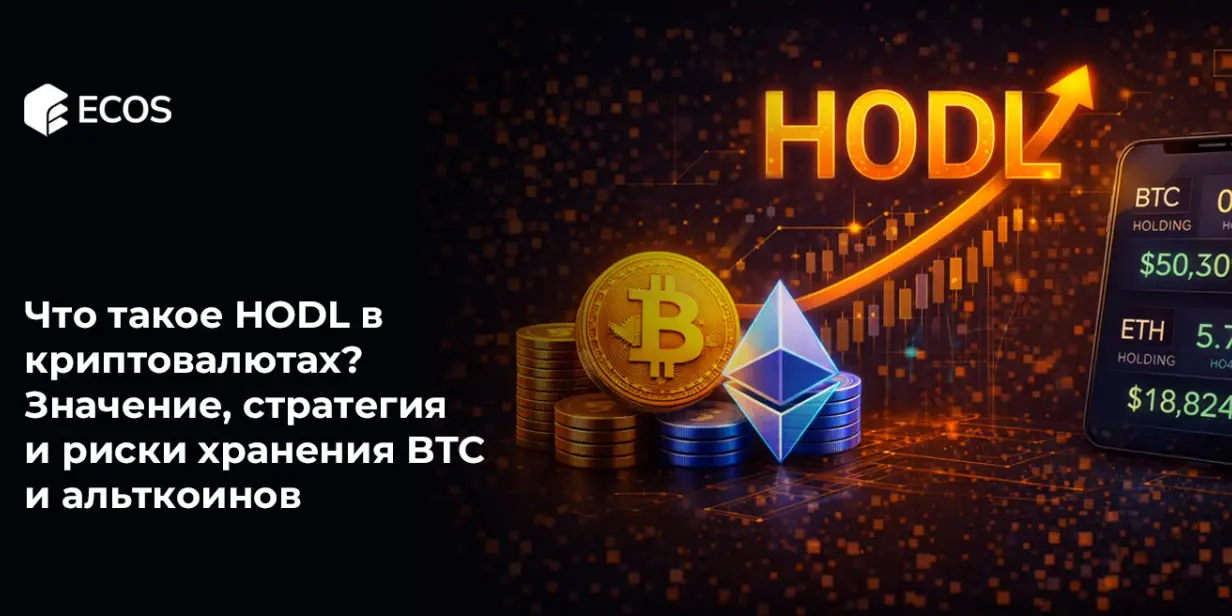Что такое HODL в криптовалютах? Значение, стратегия и риски хранения BTC и альткоинов