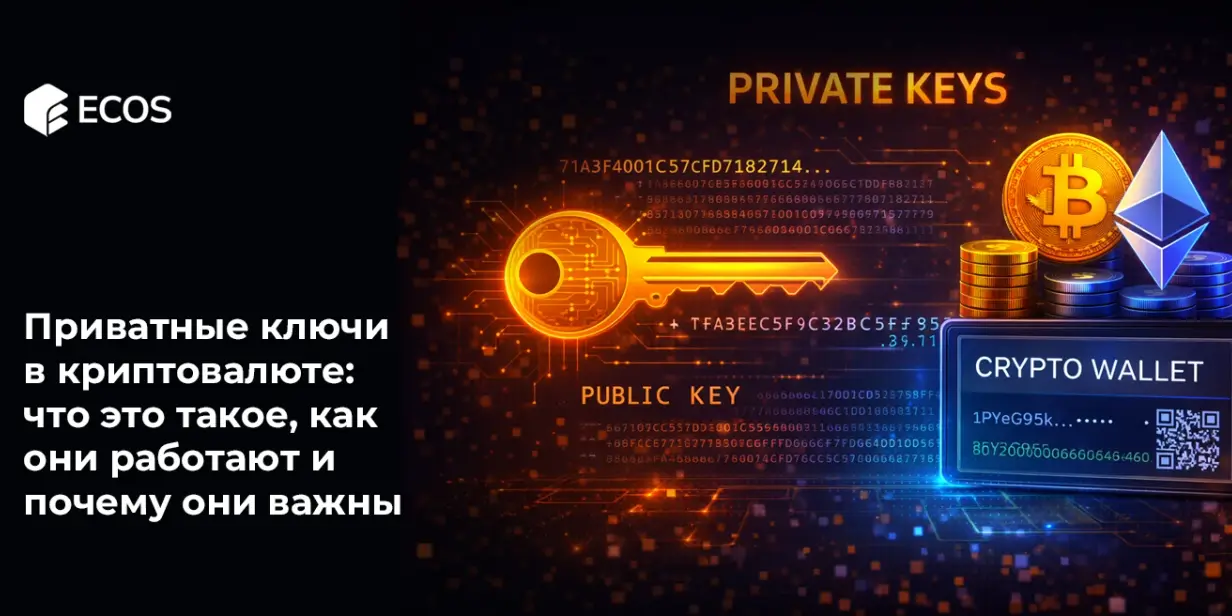 Приватные ключи в криптовалюте: что это такое, как они работают и почему они важны