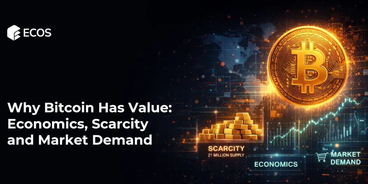 Why Bitcoin Has Value: Economics, Scarcity, and Market Demand