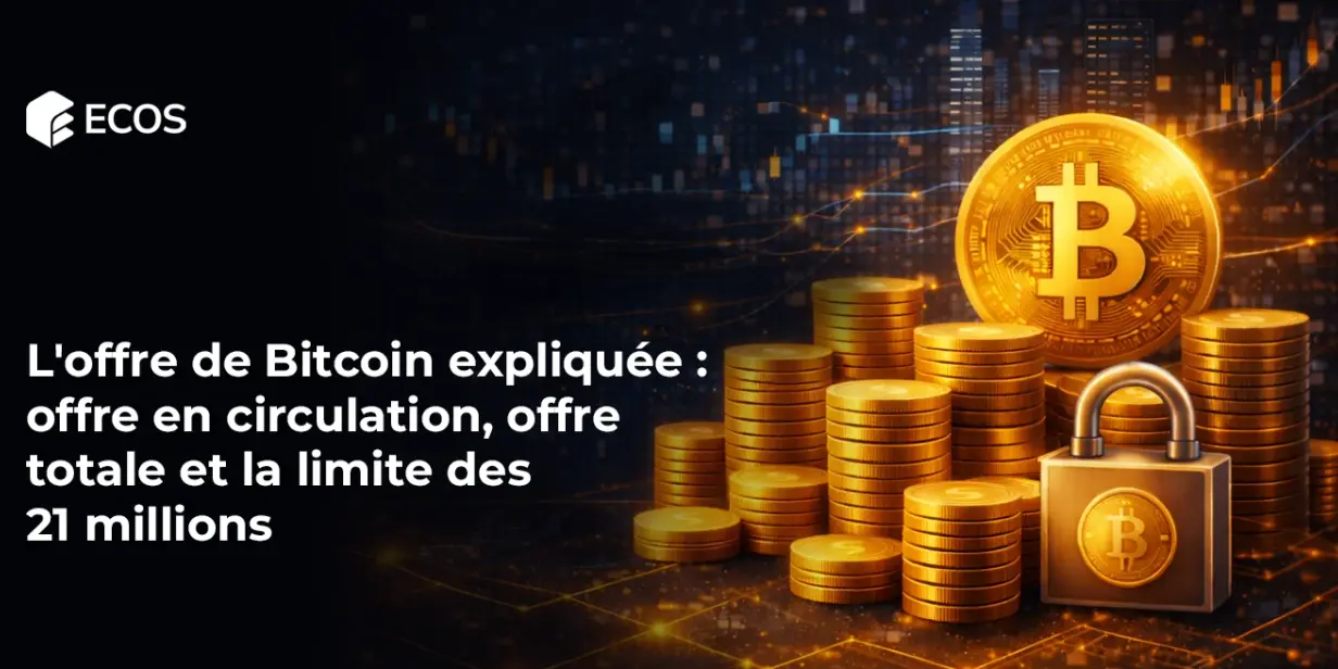 L’offre de Bitcoin expliquée : offre en circulation, offre totale et la limite des 21 millions