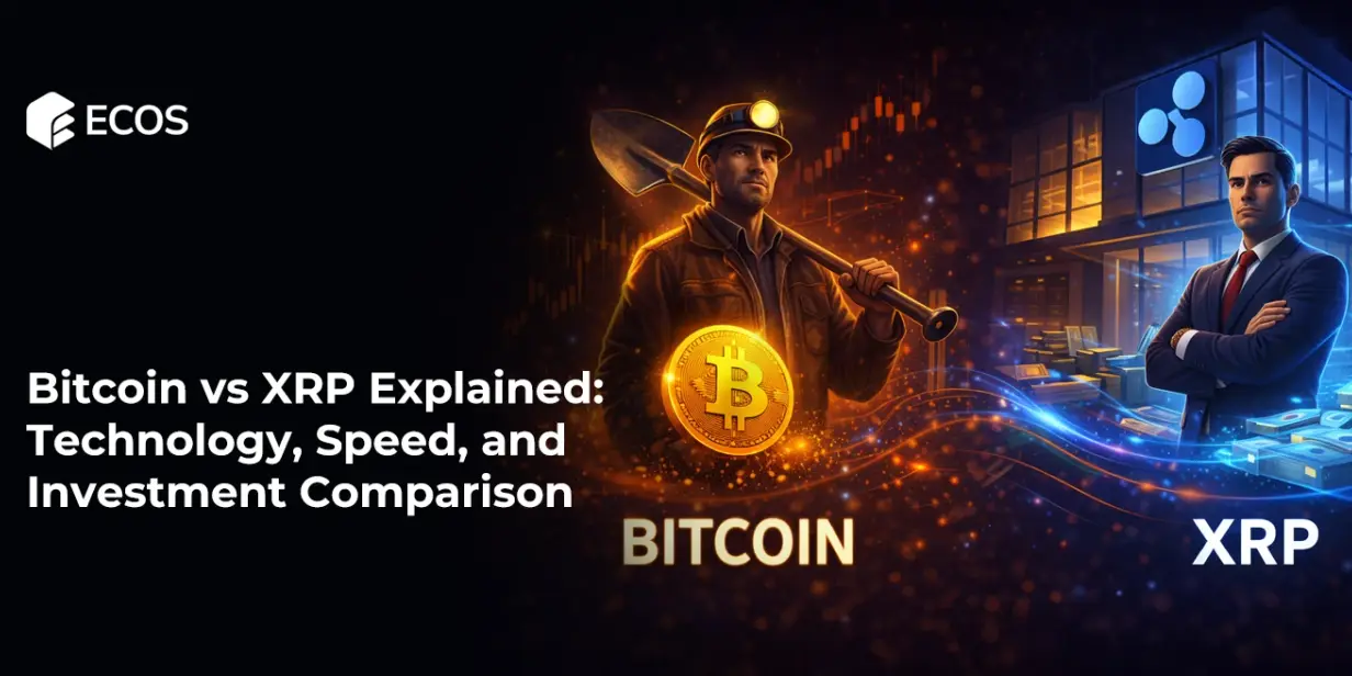 Bitcoin vs XRP Explained: Technology, Speed, and Investment Comparison