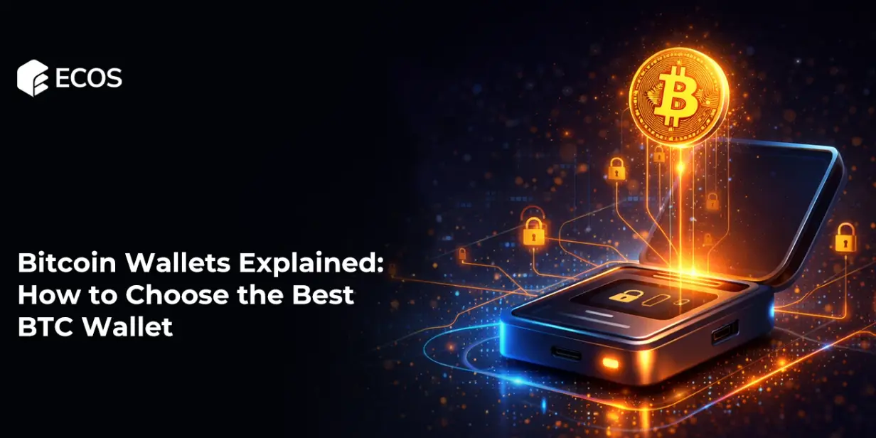 Bitcoin Wallets Explained: How to Choose the Best BTC Wallet