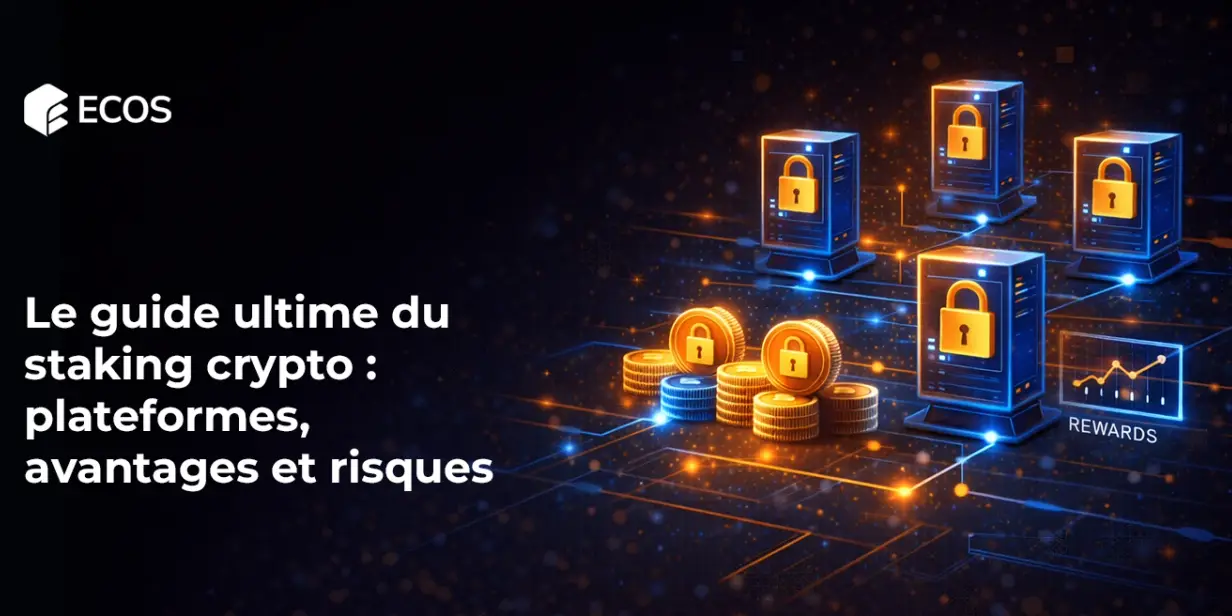 Le guide ultime du staking crypto : plateformes, avantages et risques