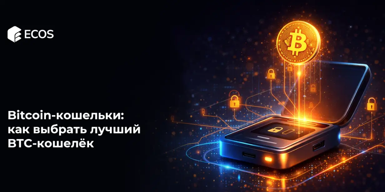 Bitcoin-кошельки: как выбрать лучший BTC-кошелёк