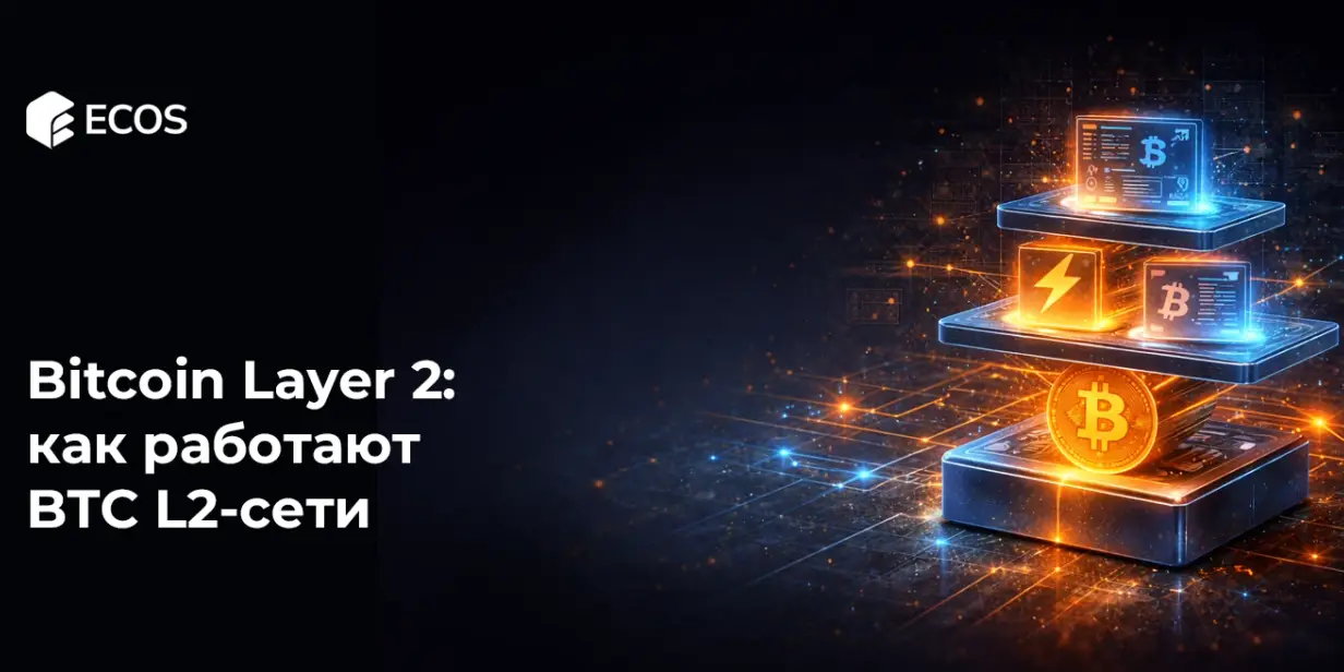 Bitcoin Layer 2: как работают и что делают BTC L2-сети