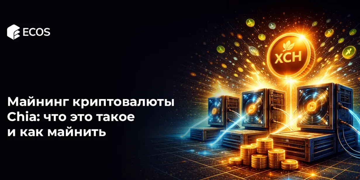 Майнинг криптовалюты Chia: что это такое и как майнить Chia