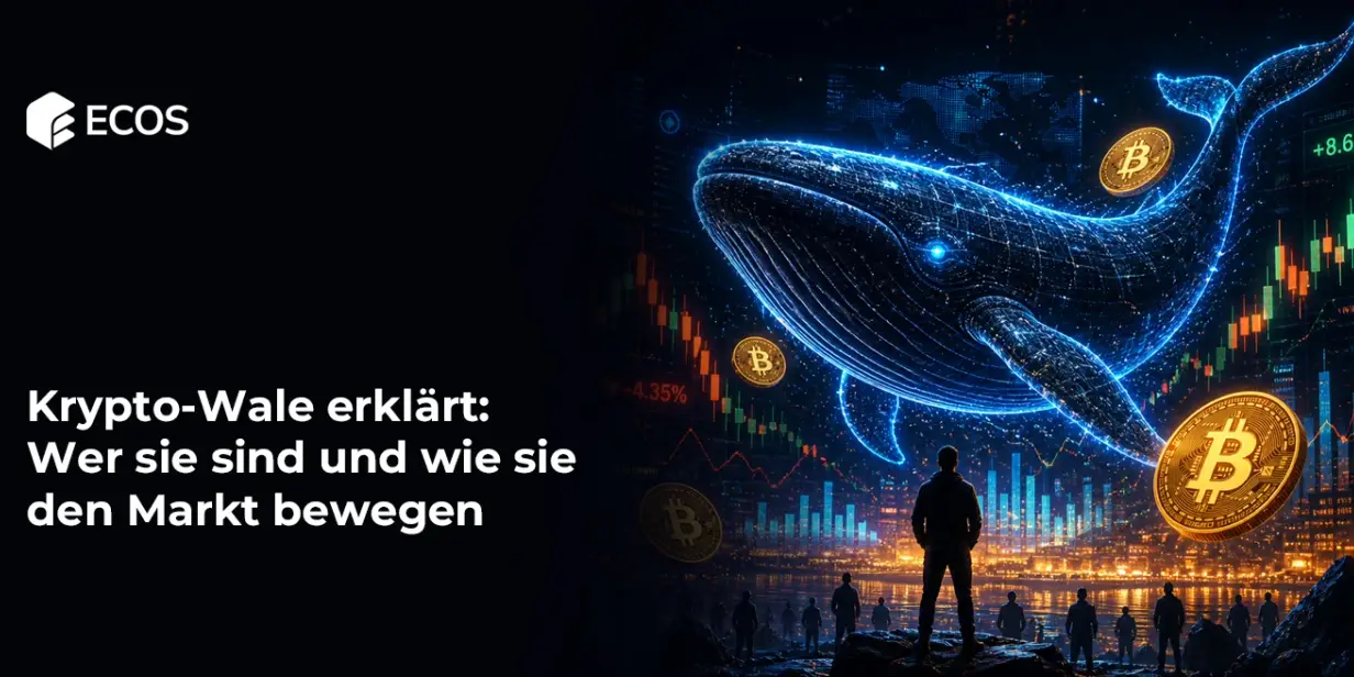 Krypto-Wale erklärt: Wer sie sind und wie sie den Markt bewegen