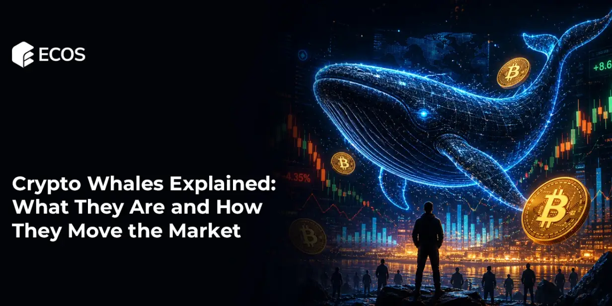 Crypto Whales Explained: What They Are and How They Move the Market
