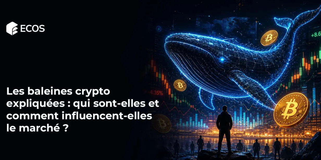 Les baleines crypto expliquées : qui sont-elles et comment influencent-elles le marché ?