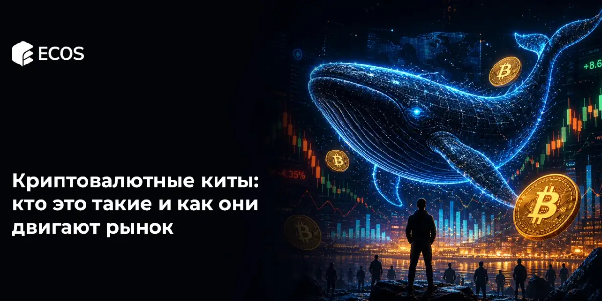 Криптовалютные киты: кто это такие и как они двигают рынок