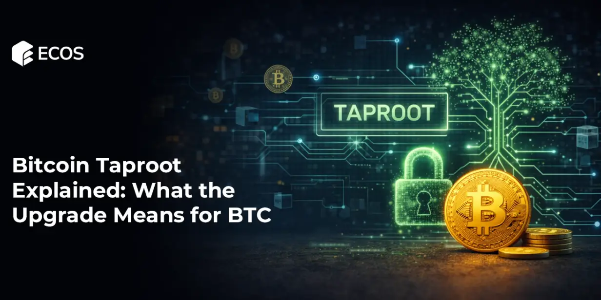Bitcoin Taproot Explained: What the Upgrade Means for BTC