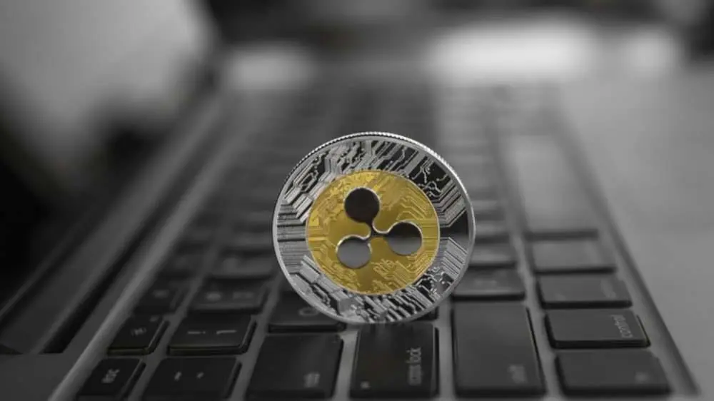RippleNet en acción
