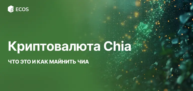 Криптовалюта Chia: Что Это и Как Майнить Чиа