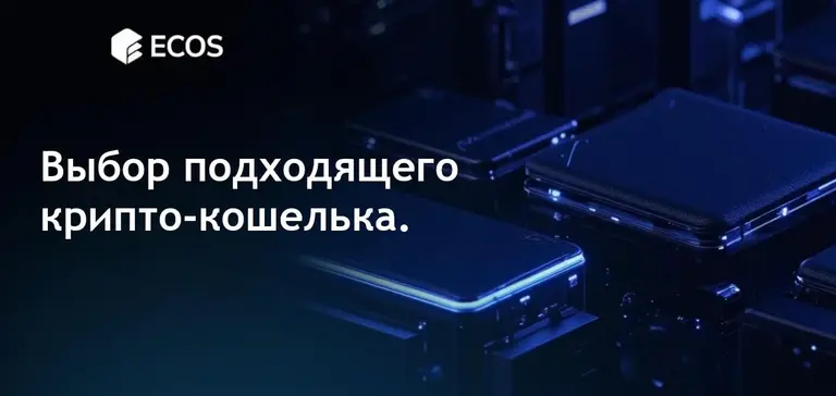 Крипто-кошелек: что это такое и как выбрать подходящий?