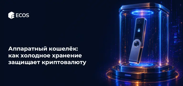 Аппаратный кошелёк: как холодное хранение защищает криптовалюту