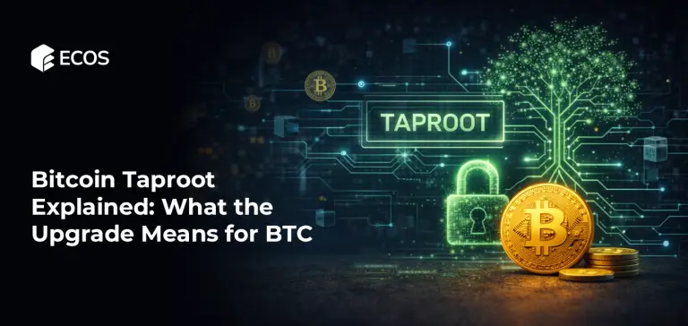Bitcoin Taproot Explained: What the Upgrade Means for BTC