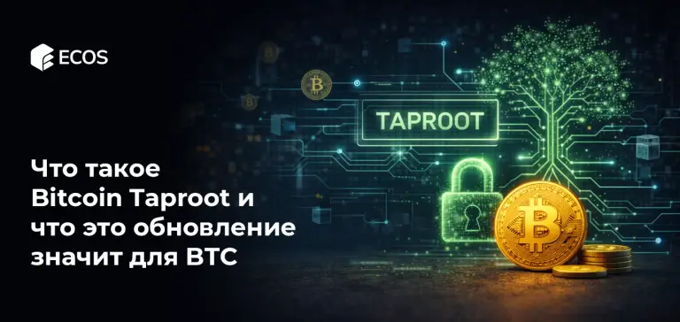 Что такое Bitcoin Taproot и что это обновление значит для BTC