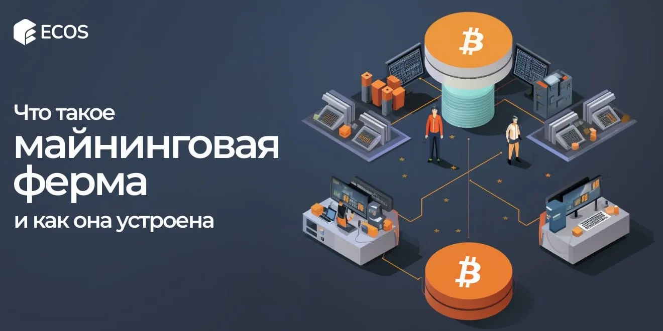 Руководство по майнинговым фермам: как они работают