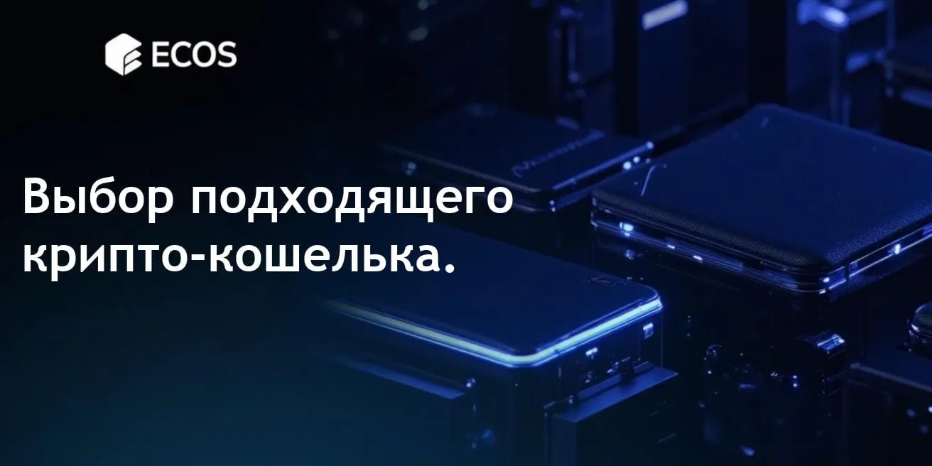 Крипто-кошелек: что это такое и как выбрать подходящий?