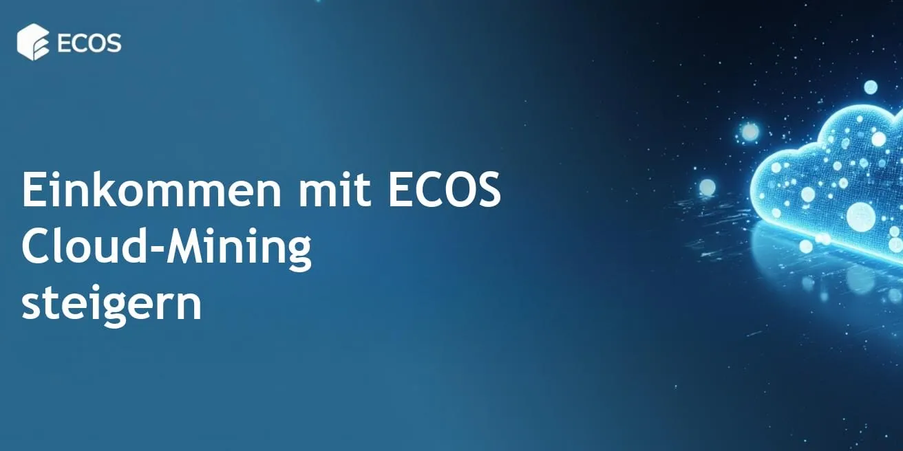ECOS Cloud-Verträge: Wie ich 4.500 Dollar verdient habe