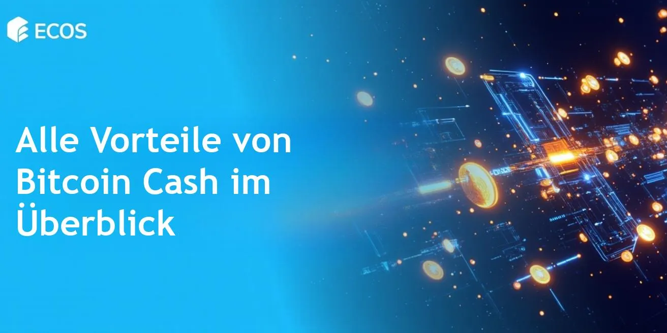 Bitcoin Cash Vorteile: Detaillierte Analyse und Nutzung
