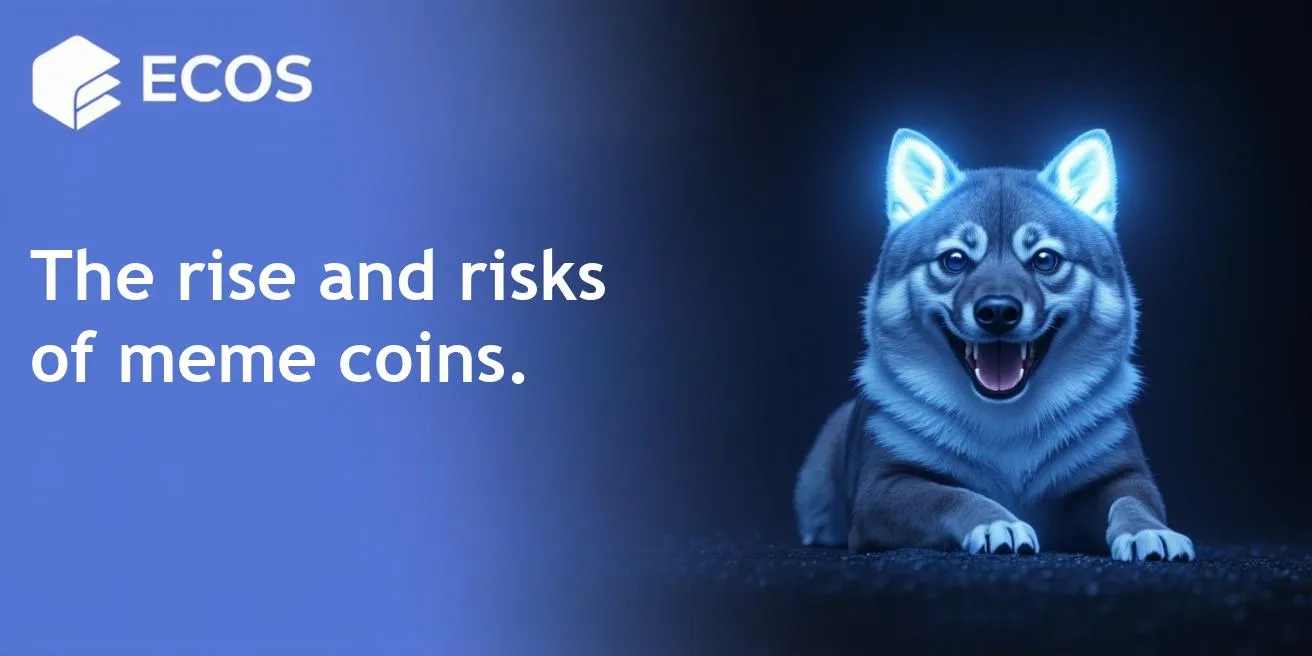 Meme Coins: What They Are, How They Work, and Whether to Invest in 2025