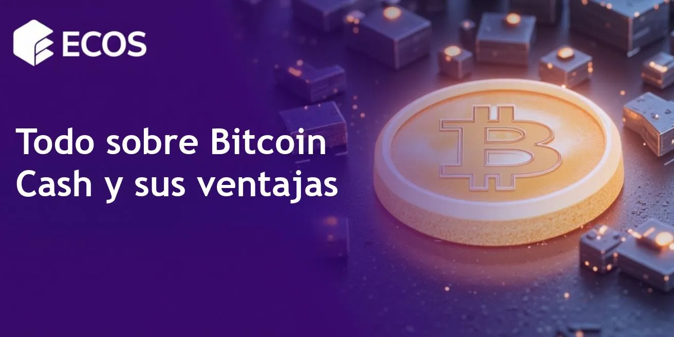 Bitcoin Cash: Una guía completa sobre cómo funciona