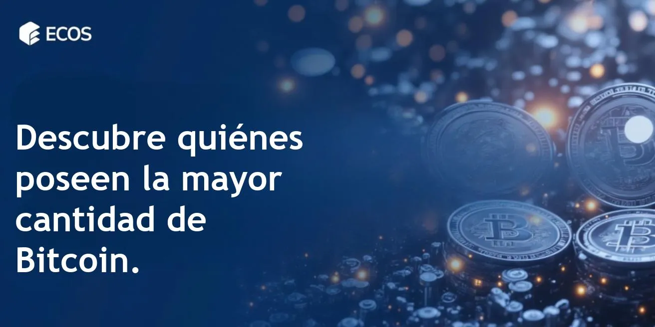 Los mayores tenedores de bitcoin: empresas, intercambios, gobiernos y Satoshi Nakamoto.