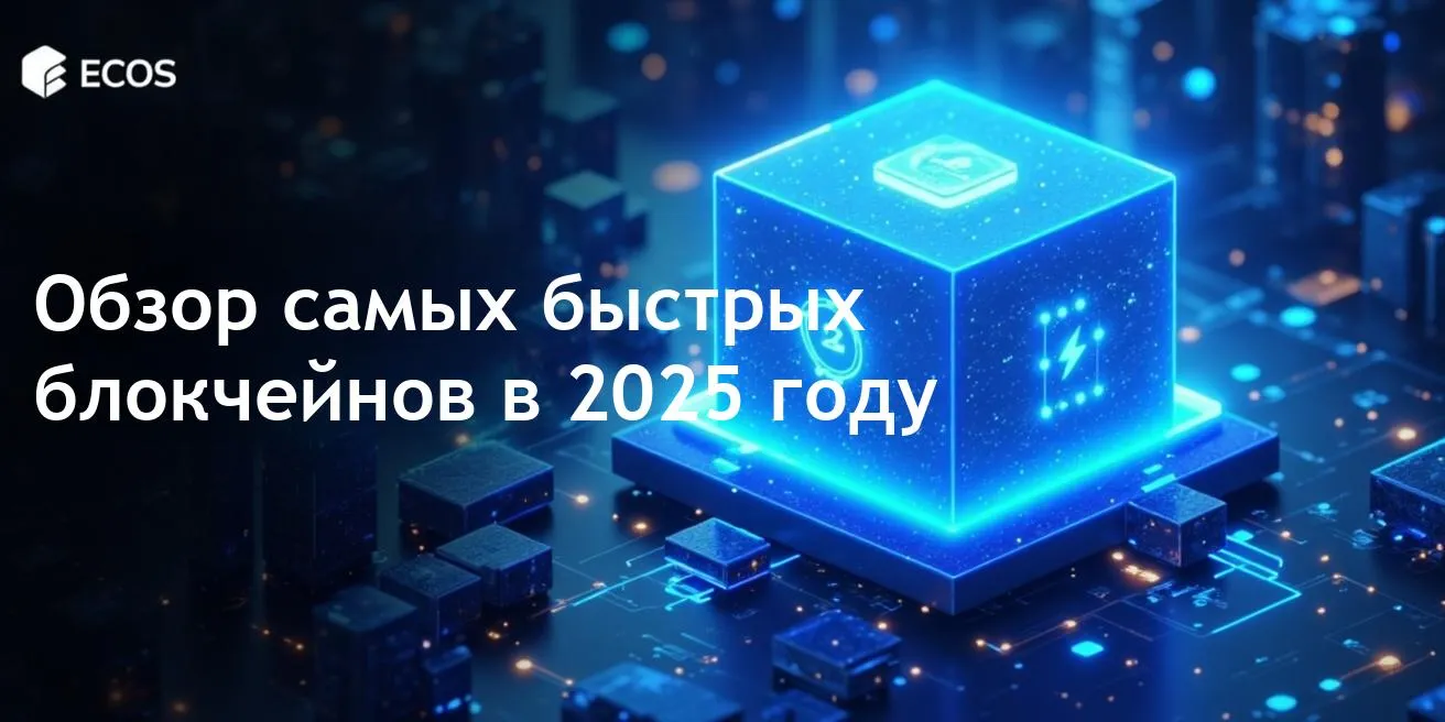 Самые быстрые блокчейны: полное руководство по высокоскоростным транзакционным сетям в 2025 году