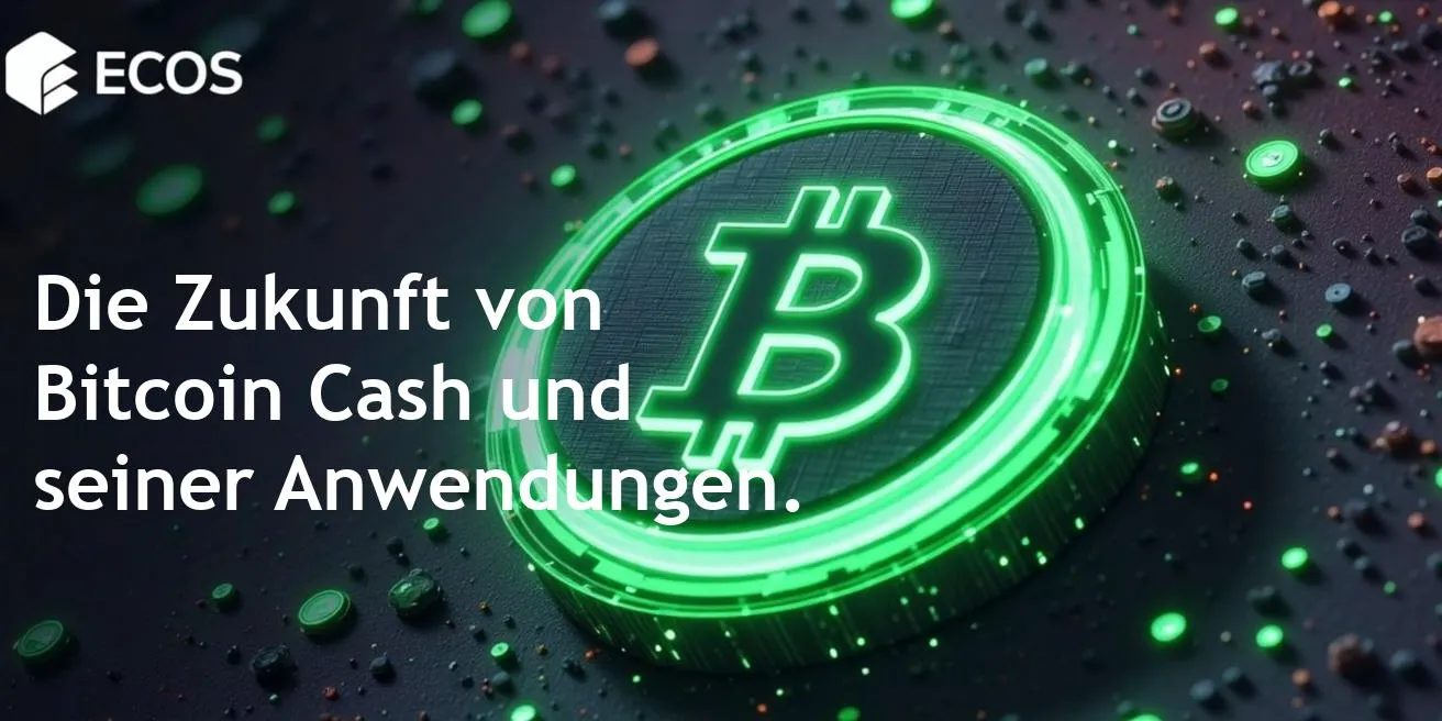 Bitcoin Cash: Ein umfassender Leitfaden für Funktionsweise und Vorteile