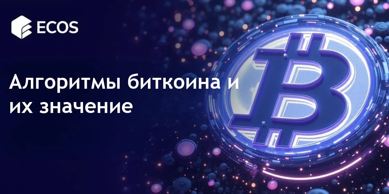 Алгоритмы биткоина: объяснение SHA-256 и будущее блокчейна