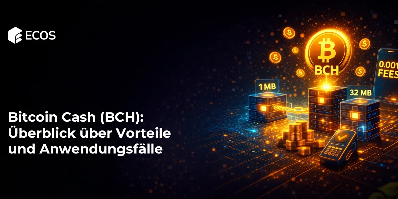 Bitcoin Cash (BCH): Überblick über Vorteile und Anwendungsfälle