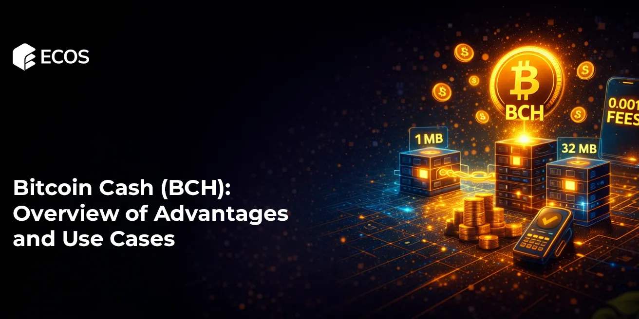 Bitcoin Cash (BCH): обзор преимуществ и сценариев использования