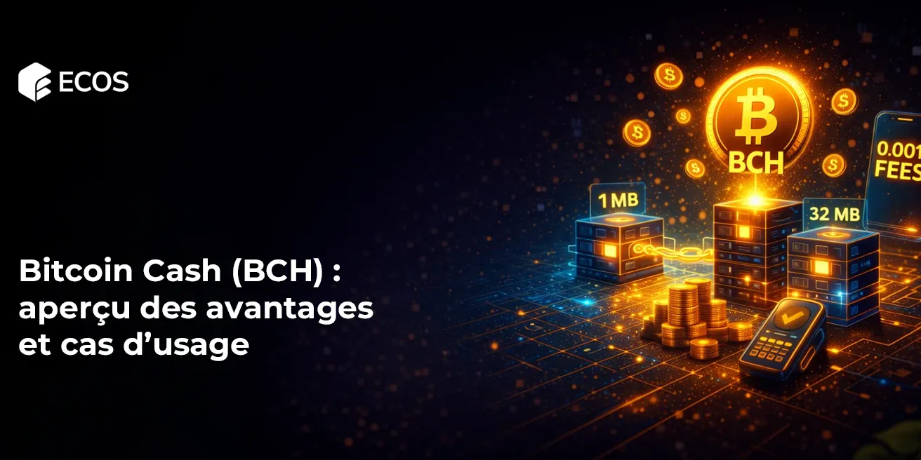 Bitcoin Cash (BCH) : aperçu des avantages et cas d’usage