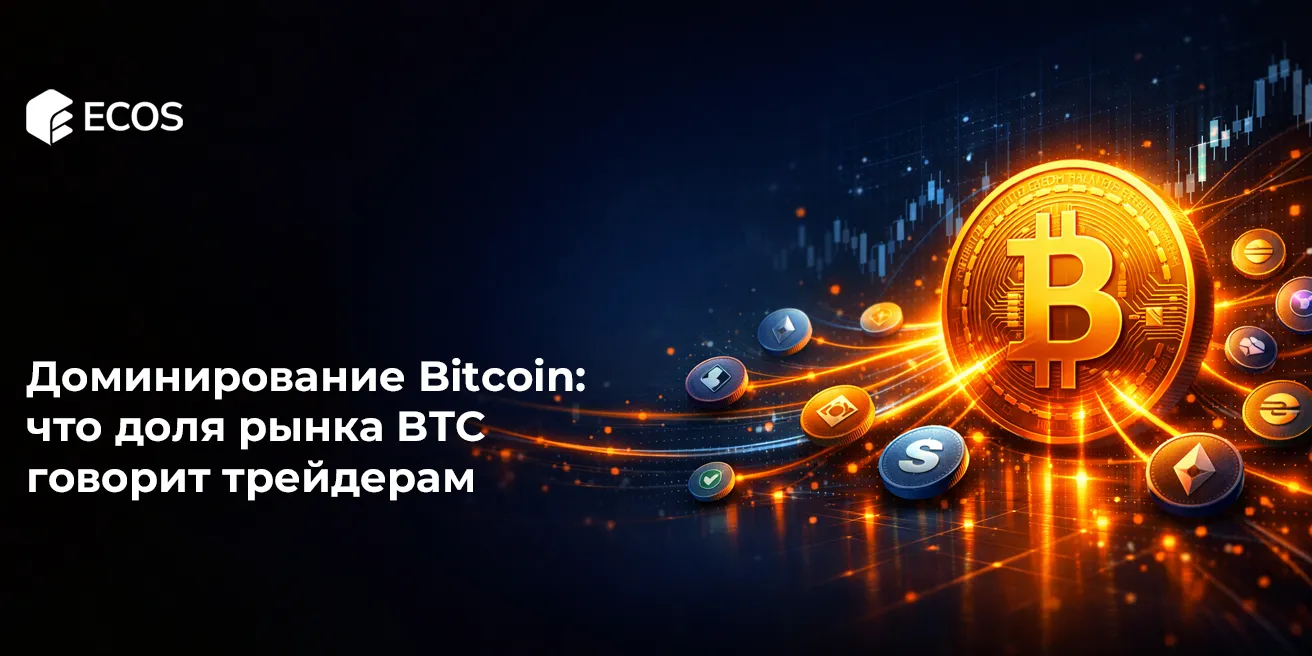 Доминирование Bitcoin: что доля рынка BTC говорит трейдерам