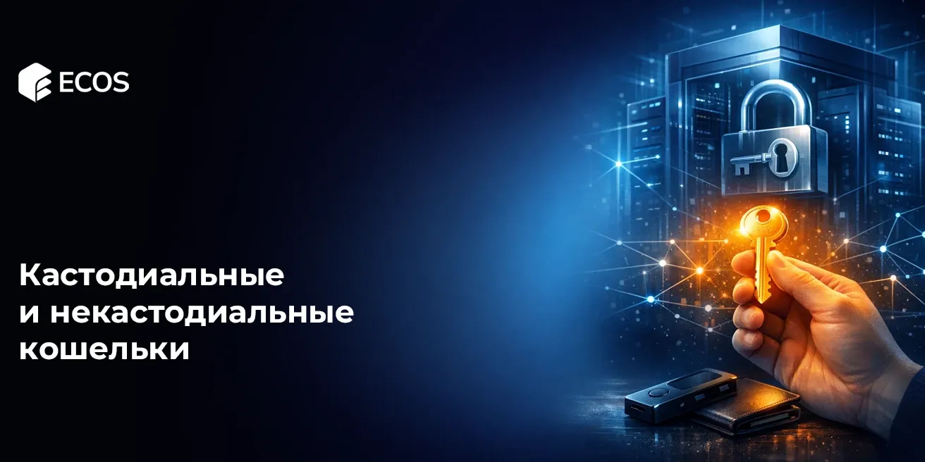 Кастодиальные и некастодиальные кошельки: подробное объяснение