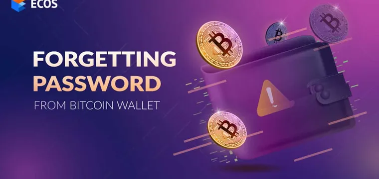 How to recover your lost Bitcoin wallet password?
