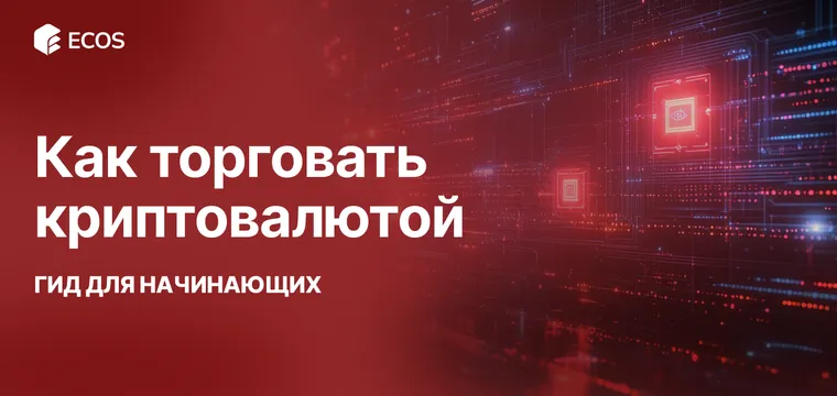Как начать торговать криптовалютой и не потерять все деньги: пошаговое руководство для новичков