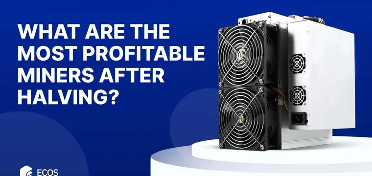 What are the most profitable BTC miners after Halving?