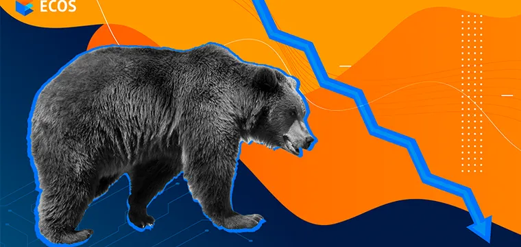 What is a bear market?