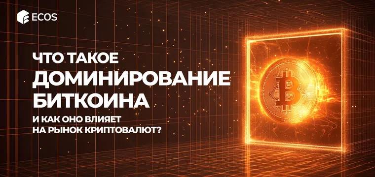 Доминирование Биткоина: влияние на рынок. Как использовать индекс BTC