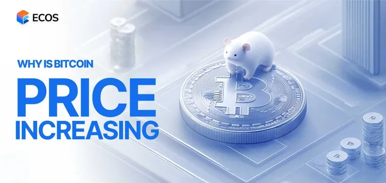 Why Is Bitcoin Going Up Today? Key Factors Driving Bitcoin’s Price in 2024