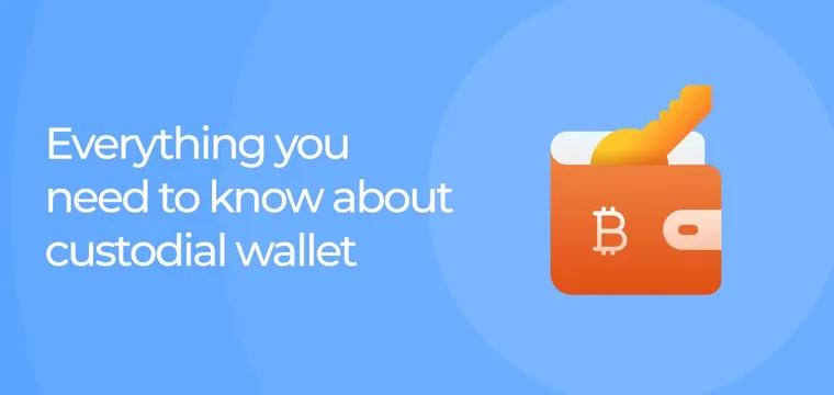 Everything you need to know about custodial wallet