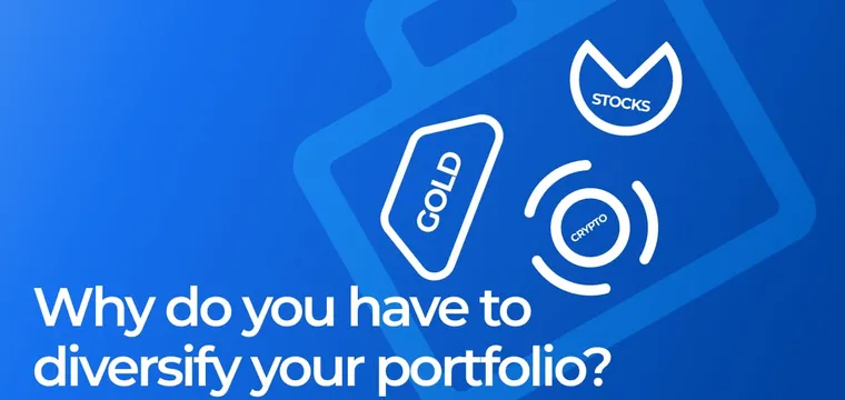 Why do you have to diversify your portfolio?