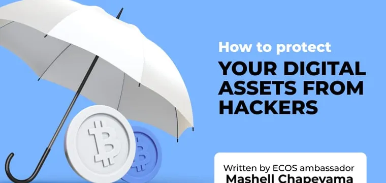 How to protect your digital assets from hackers