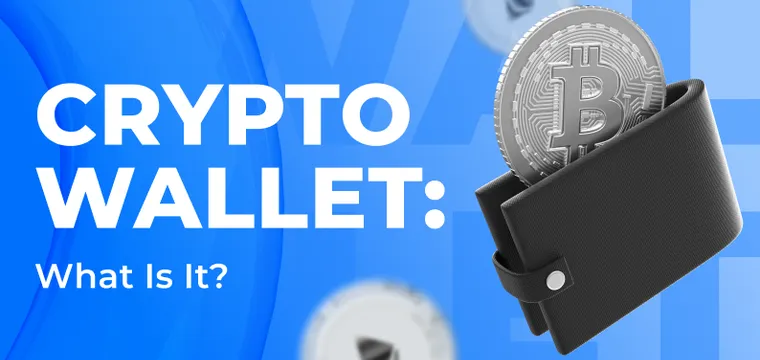 Crypto Wallet: What Is It and How to Use It?