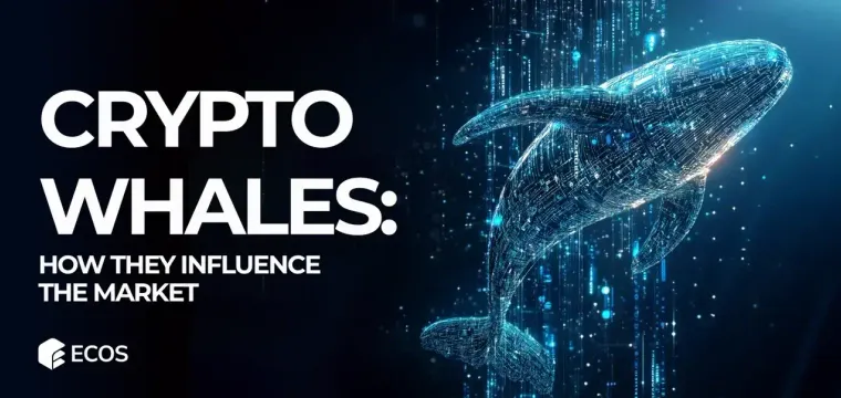 Crypto Whales: How They Influence the Market